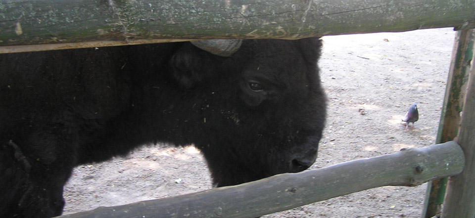 网络管理工具的小七手机号在线网页轰炸